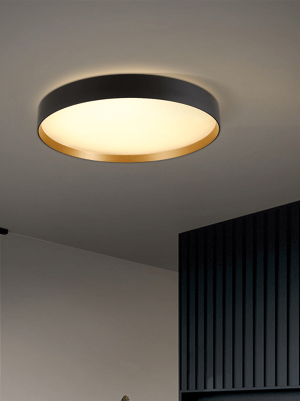 C0365 Modern Black Gold Round LED Ceiling Light