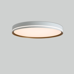 C0527 Ultra-slim Round LED Ceiling Light