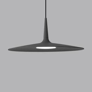 P0339 Flat Disc Pendant Light