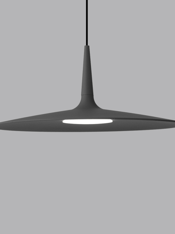 P0339 Flat Disc Pendant Light