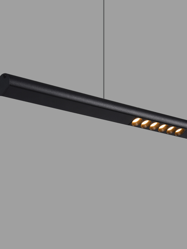 P0731 Dual-Light Linear Pendant Light