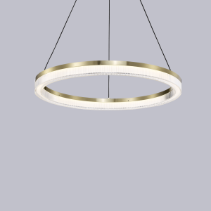 P0864-A Minimalist Gold Ring Pendant Light